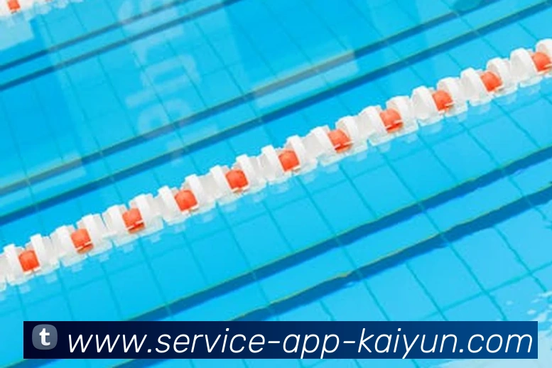 开云app服务体系